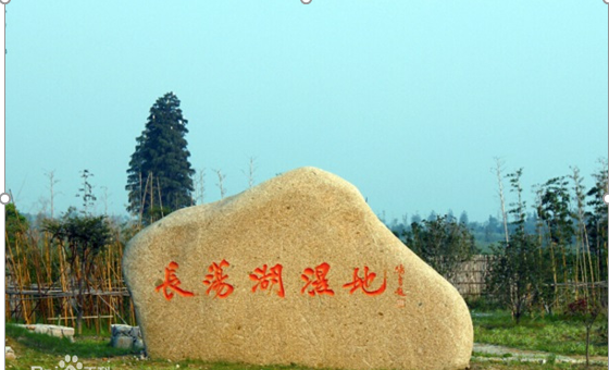 江苏金坛长荡湖国家湿地公园